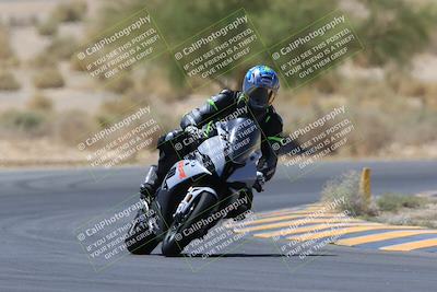 media/May-14-2023-SoCal Trackdays (Sun) [[024eb53b40]]/Turn 5 Tree of Life (1125am)/